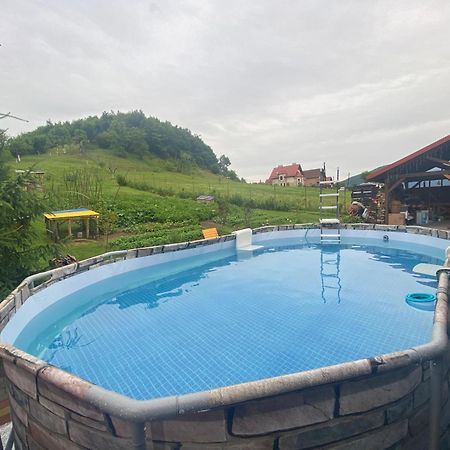 Садиба У Дохтора Відпочинок У Карпатах Golubinoye Exterior photo